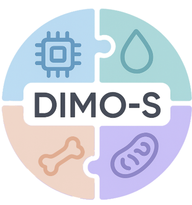 DIMO-S Logo